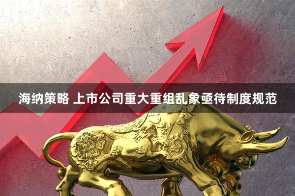海纳策略 上市公司重大重组乱象亟待制度规范