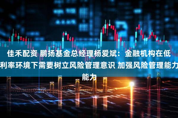 佳禾配资 鹏扬基金总经理杨爱斌：金融机构在低利率环境下需要树立风险管理意识 加强风险管理能力