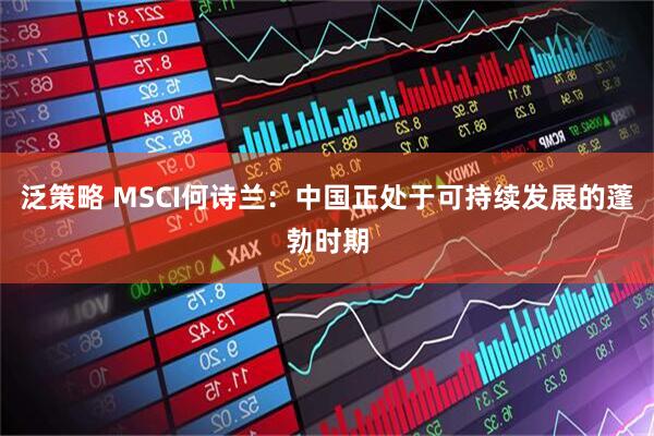 泛策略 MSCI何诗兰：中国正处于可持续发展的蓬勃时期