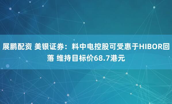 展鹏配资 美银证券：料中电控股可受惠于HIBOR回落 维持目标价68.7港元
