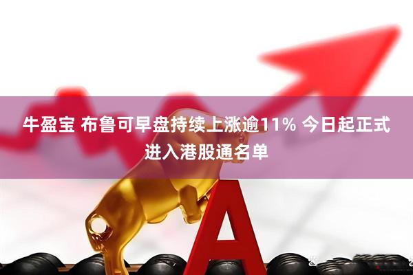 牛盈宝 布鲁可早盘持续上涨逾11% 今日起正式进入港股通名单