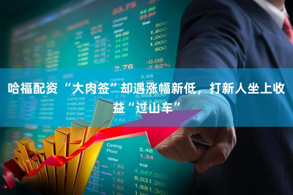 哈福配资 “大肉签”却遇涨幅新低，打新人坐上收益“过山车”