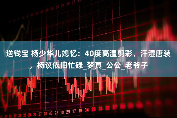 送钱宝 杨少华儿媳忆：40度高温剪彩，汗湿唐装，杨议依旧忙碌_梦真_公公_老爷子