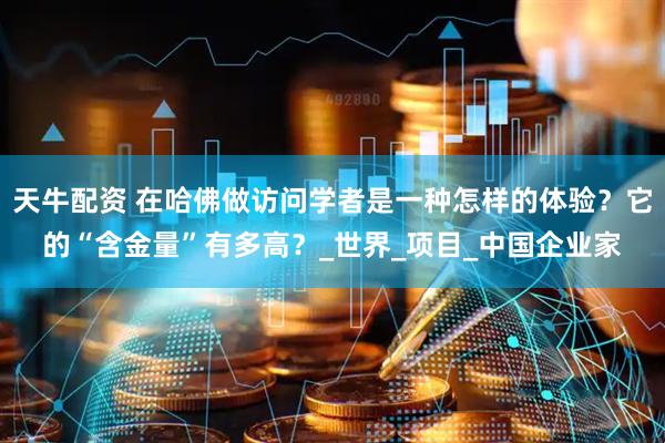 天牛配资 在哈佛做访问学者是一种怎样的体验？它的“含金量”有多高？_世界_项目_中国企业家